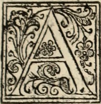 An illustration from Decisiones supremi eminentissimique Senatus Portugalliae ex gravissimorum patrum responsis collectae, 1621, leaf 376