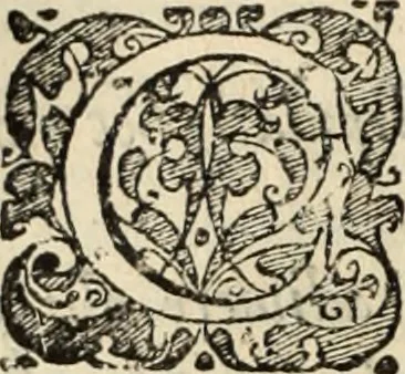 An illustration from Decisiones supremi eminentissimique Senatus Portugalliae ex gravissimorum patrum responsis collectae, 1621, leaf 377