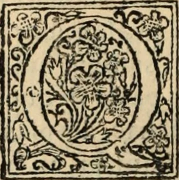 An illustration from Decisiones supremi eminentissimique Senatus Portugalliae ex gravissimorum patrum responsis collectae, 1621, leaf 379