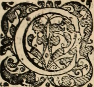 An illustration from Decisiones supremi eminentissimique Senatus Portugalliae ex gravissimorum patrum responsis collectae, 1621, leaf 388