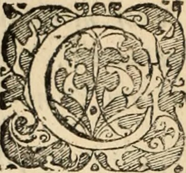 An illustration from Decisiones supremi eminentissimique Senatus Portugalliae ex gravissimorum patrum responsis collectae, 1621, leaf 393
