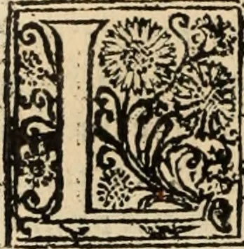An illustration from Decisiones supremi eminentissimique Senatus Portugalliae ex gravissimorum patrum responsis collectae, 1621, leaf 397