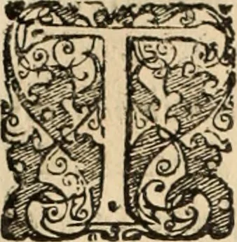 An illustration from Decisiones supremi eminentissimique Senatus Portugalliae ex gravissimorum patrum responsis collectae, 1621, leaf 401