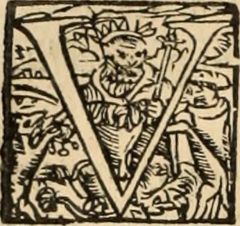 An illustration from Decisiones supremi eminentissimique Senatus Portugalliae ex gravissimorum patrum responsis collectae, 1621, leaf 405