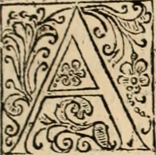 An illustration from Decisiones supremi eminentissimique Senatus Portugalliae ex gravissimorum patrum responsis collectae, 1621, leaf 418