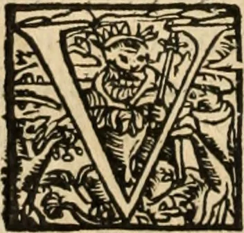 An illustration from Decisiones supremi eminentissimique Senatus Portugalliae ex gravissimorum patrum responsis collectae, 1621, leaf 423