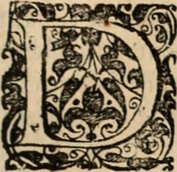 An illustration from Decisiones supremi eminentissimique Senatus Portugalliae ex gravissimorum patrum responsis collectae, 1621, leaf 440