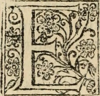 An illustration from Decisiones supremi eminentissimique Senatus Portugalliae ex gravissimorum patrum responsis collectae, 1621, leaf 449