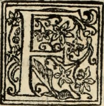 An illustration from Decisiones supremi eminentissimique Senatus Portugalliae ex gravissimorum patrum responsis collectae, 1621, leaf 453