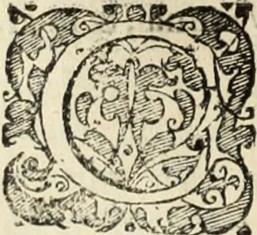 An illustration from Decisiones supremi eminentissimique Senatus Portugalliae ex gravissimorum patrum responsis collectae, 1621, leaf 453