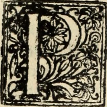 An illustration from Decisiones supremi eminentissimique Senatus Portugalliae ex gravissimorum patrum responsis collectae, 1621, leaf 461