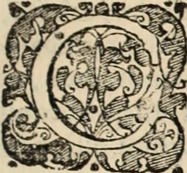An illustration from Decisiones supremi eminentissimique Senatus Portugalliae ex gravissimorum patrum responsis collectae, 1621, leaf 466