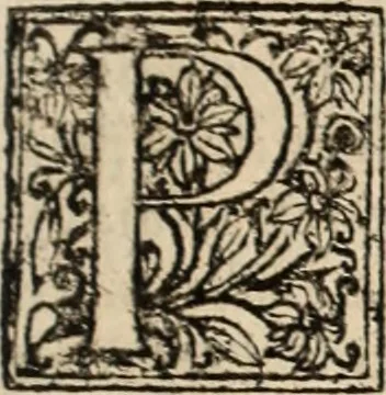 An illustration from Decisiones supremi eminentissimique Senatus Portugalliae ex gravissimorum patrum responsis collectae, 1621, leaf 486