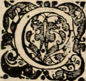 An illustration from Decisiones supremi eminentissimique Senatus Portugalliae ex gravissimorum patrum responsis collectae, 1621, leaf 488