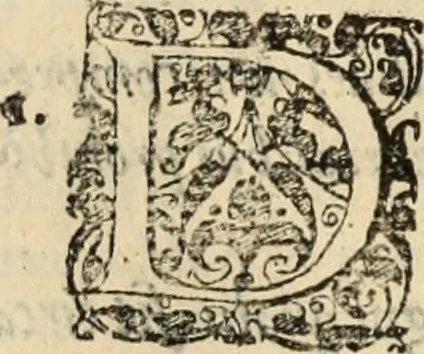 An illustration from Decisiones supremi eminentissimique Senatus Portugalliae ex gravissimorum patrum responsis collectae, 1621, leaf 489