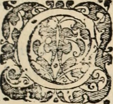 An illustration from Decisiones supremi eminentissimique Senatus Portugalliae ex gravissimorum patrum responsis collectae, 1621, leaf 502