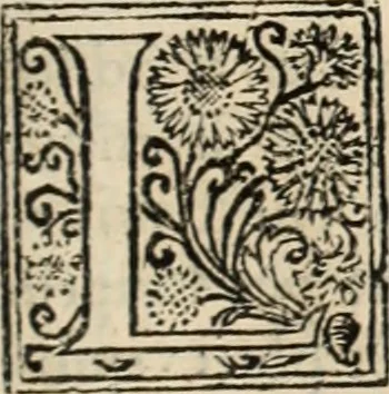 An illustration from Decisiones supremi eminentissimique Senatus Portugalliae ex gravissimorum patrum responsis collectae, 1621, leaf 506
