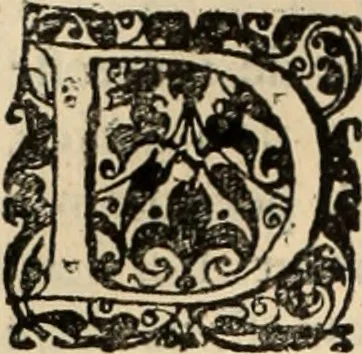 An illustration from Decisiones supremi eminentissimique Senatus Portugalliae ex gravissimorum patrum responsis collectae, 1621, leaf 511