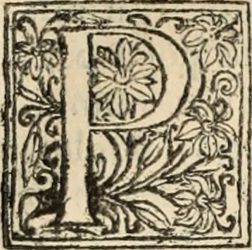 An illustration from Decisiones supremi eminentissimique Senatus Portugalliae ex gravissimorum patrum responsis collectae, 1621, leaf 517
