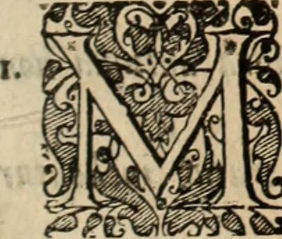 An illustration from Decisiones supremi eminentissimique Senatus Portugalliae ex gravissimorum patrum responsis collectae, 1621, leaf 520