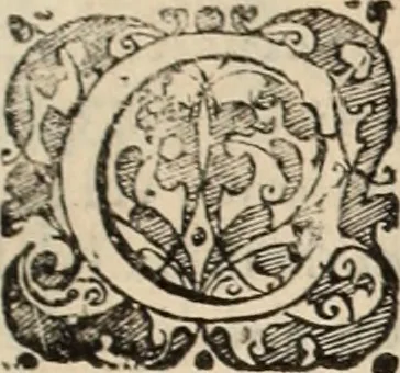 An illustration from Decisiones supremi eminentissimique Senatus Portugalliae ex gravissimorum patrum responsis collectae, 1621, leaf 522