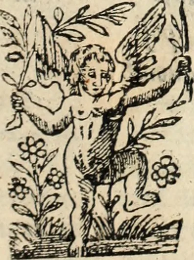 An illustration from Decisiones supremi eminentissimique Senatus Portugalliae ex gravissimorum patrum responsis collectae, 1621, leaf 528
