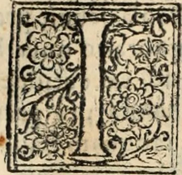 An illustration from Decisiones supremi eminentissimique Senatus Portugalliae ex gravissimorum patrum responsis collectae, 1621, leaf 529