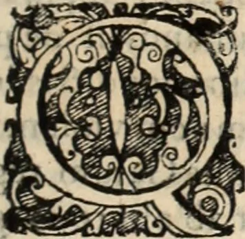 An illustration from Decisiones supremi eminentissimique Senatus Portugalliae ex gravissimorum patrum responsis collectae, 1621, leaf 534