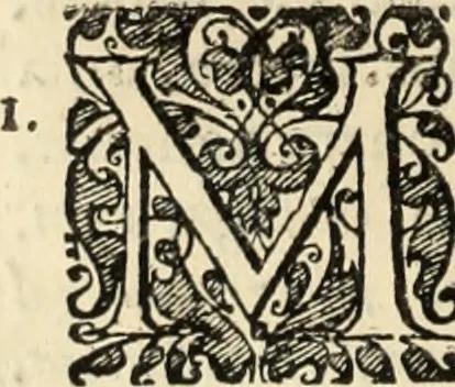 An illustration from Decisiones supremi eminentissimique Senatus Portugalliae ex gravissimorum patrum responsis collectae, 1621, leaf 539