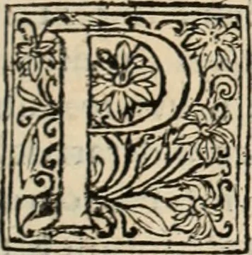 An illustration from Decisiones supremi eminentissimique Senatus Portugalliae ex gravissimorum patrum responsis collectae, 1621, leaf 540