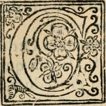 An illustration from Decisiones supremi eminentissimique Senatus Portugalliae ex gravissimorum patrum responsis collectae, 1621, leaf 541