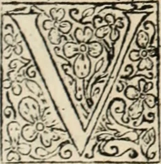 An illustration from Decisiones supremi eminentissimique Senatus Portugalliae ex gravissimorum patrum responsis collectae, 1621, leaf 552