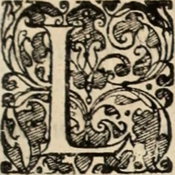 An illustration from Decisiones supremi eminentissimique Senatus Portugalliae ex gravissimorum patrum responsis collectae, 1621, leaf 558
