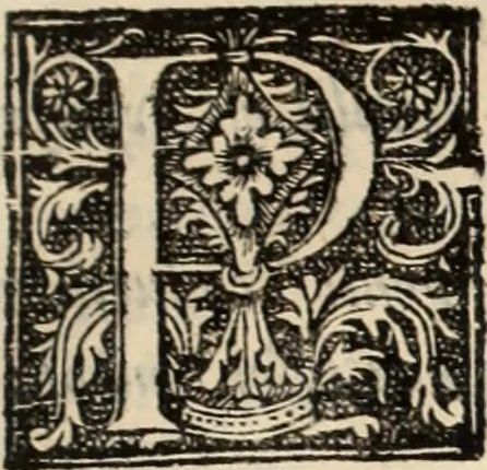 An illustration from Decisiones supremi eminentissimique Senatus Portugalliae ex gravissimorum patrum responsis collectae, 1621, leaf 568