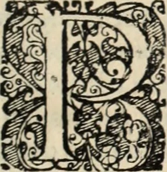 An illustration from Decisiones supremi eminentissimique Senatus Portugalliae ex gravissimorum patrum responsis collectae, 1621, leaf 570