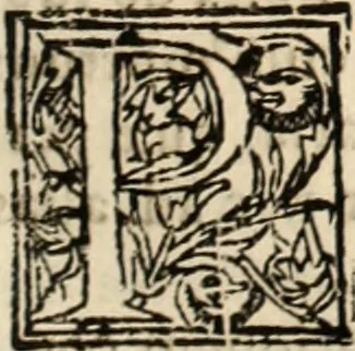 An illustration from Decisiones supremi eminentissimique Senatus Portugalliae ex gravissimorum patrum responsis collectae, 1621, leaf 58