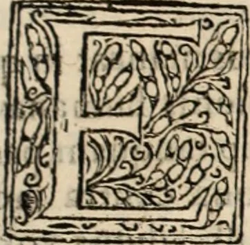 An illustration from Decisiones supremi eminentissimique Senatus Portugalliae ex gravissimorum patrum responsis collectae, 1621, leaf 586