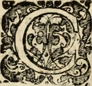 An illustration from Decisiones supremi eminentissimique Senatus Portugalliae ex gravissimorum patrum responsis collectae, 1621, leaf 59