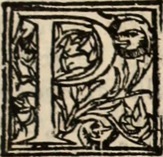 An illustration from Decisiones supremi eminentissimique Senatus Portugalliae ex gravissimorum patrum responsis collectae, 1621, leaf 592
