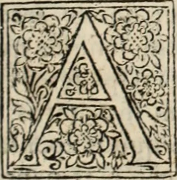 An illustration from Decisiones supremi eminentissimique Senatus Portugalliae ex gravissimorum patrum responsis collectae, 1621, leaf 592