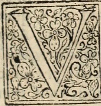 An illustration from Decisiones supremi eminentissimique Senatus Portugalliae ex gravissimorum patrum responsis collectae, 1621, leaf 596
