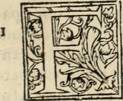 An illustration from Decisiones supremi eminentissimique Senatus Portugalliae ex gravissimorum patrum responsis collectae, 1621, leaf 596