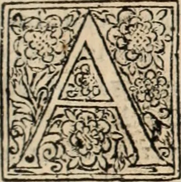 An illustration from Decisiones supremi eminentissimique Senatus Portugalliae ex gravissimorum patrum responsis collectae, 1621, leaf 598