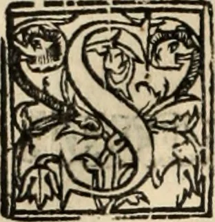 An illustration from Decisiones supremi eminentissimique Senatus Portugalliae ex gravissimorum patrum responsis collectae, 1621, leaf 605