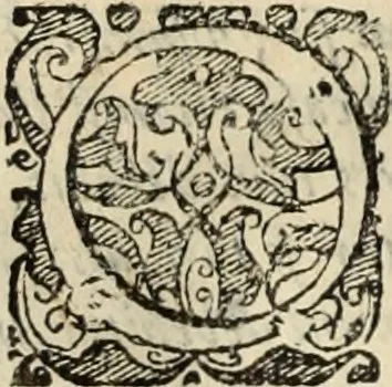 An illustration from Decisiones supremi eminentissimique Senatus Portugalliae ex gravissimorum patrum responsis collectae, 1621, leaf 607