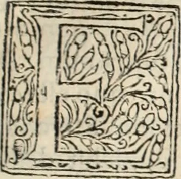 An illustration from Decisiones supremi eminentissimique Senatus Portugalliae ex gravissimorum patrum responsis collectae, 1621, leaf 608