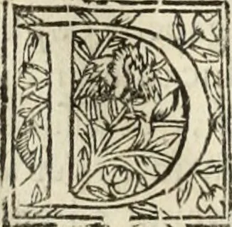 An illustration from Decisiones supremi eminentissimique Senatus Portugalliae ex gravissimorum patrum responsis collectae, 1621, leaf 609
