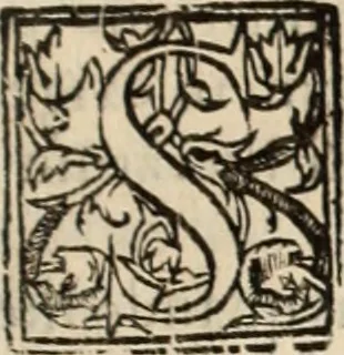 An illustration from Decisiones supremi eminentissimique Senatus Portugalliae ex gravissimorum patrum responsis collectae, 1621, leaf 610