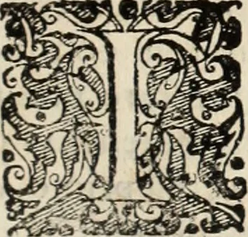 An illustration from Decisiones supremi eminentissimique Senatus Portugalliae ex gravissimorum patrum responsis collectae, 1621, leaf 614