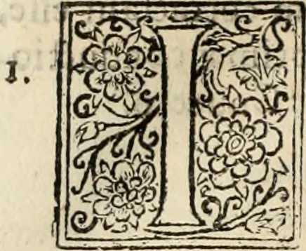 An illustration from Decisiones supremi eminentissimique Senatus Portugalliae ex gravissimorum patrum responsis collectae, 1621, leaf 615